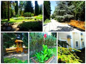 �����, ����� ������