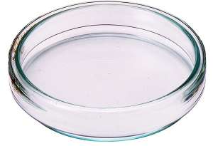 ����� �����, ����������, ������������. - ����������