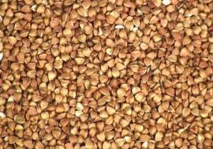 ����� ������ - ����������