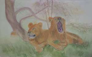 ����� ������ � ��������