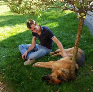 ����� ������ �� ����� �� ������ - ����������