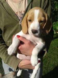 ����� ������ �����.