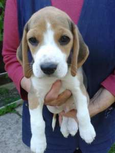 ����� ������ �����.