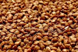 ����� ������ ����� �� ��������� - ����������