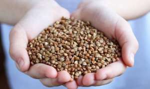 ����� ������. ������ ����� - ����������