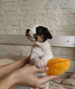 ����� ������ ������ ������ / ���� ������ - ����������