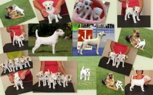 ����� ������ ������ �������!