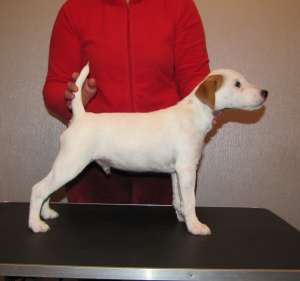 ����� ������ ������ �������!