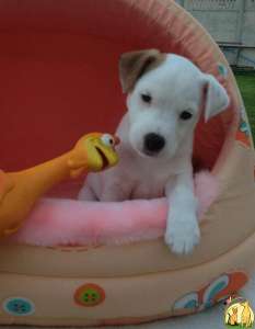 ����� ������ ������ �������!