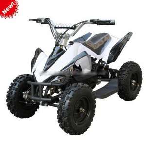 �����! ������ ������� ���������� Python (500W-36V) �����