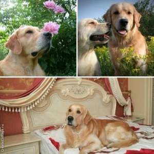 ����� ������ ���������