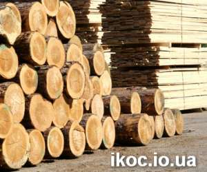 �����, ������, ����������. - ����������