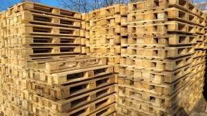 ����� ������ ���������� �����"��� � ��������