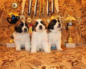 ����� ������ ���������� ���������� �� ����� ��������, �������� ����������� ����� - ����������