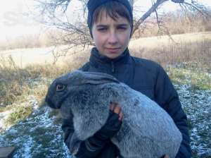 ����� ������ �����������