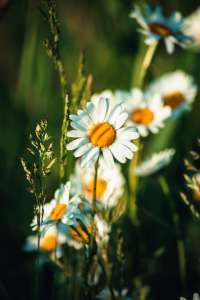 ����� ������� � ������� - ����������