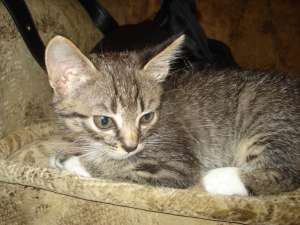 ����� ������� � ������� ����!