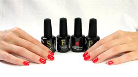 �����! ������� + ���� � ��� �������