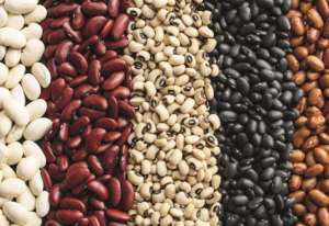 ����� ������� ����� �� ����������� - ����������