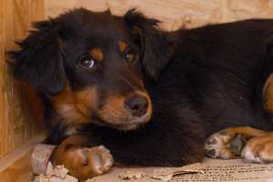 ����� - ������� �������, ����� ���������� - ����������