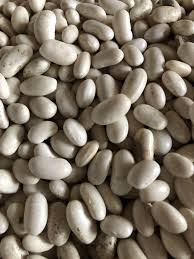 ����� ������� �������, ������ ���. - ����������