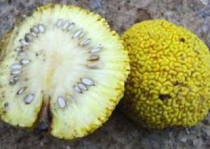 ����� ������� (������� ������, �����������)