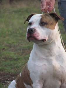 ����� ��.������