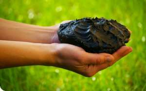 ����� ��������