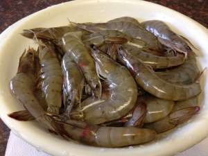 ����� ��������