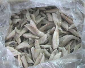 ����� ��������