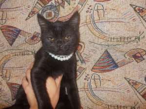 ����� �������� � ������� ����! 3 ������, ������� - ����������