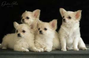 ����� ��������! ���