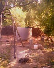 ����� �������� �����