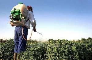 ����� �������� ������ �������� - ����������