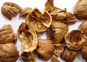 ����� �������� �������� ����� ������ - ����������