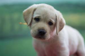 ����� �������� ���������.