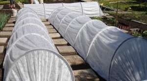 ����� �������� "����������" 4�.