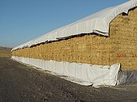 ����� ��������� 250 HEAVY DUTY