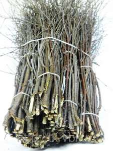 ����� ���������