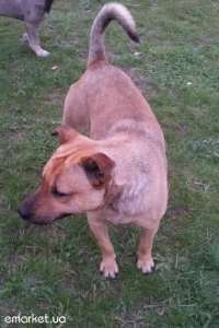 ����� ��������� � �������, 5-6 ���., ����� ��������