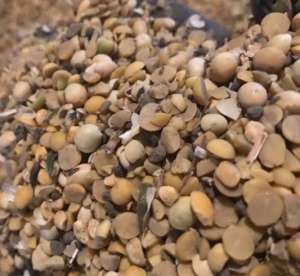 ����� ��������� �� �� ������ - ����������