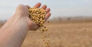 ����� ��������� ��, ��� - ����������