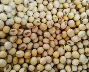 ����� ��������� ��. ����� ���. ��������