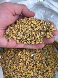 ����� ��������� ��. ����� ������ ��������� - ����������