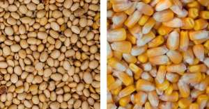 ����� ��������� ��, ��������� �� ���� - ����������