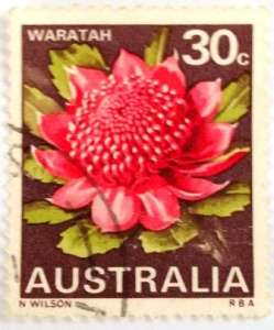 ����� ��������� - �����