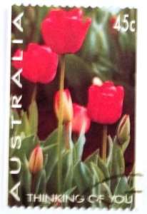 ����� ��������� - �����