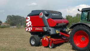 ����� ��������� �������� Feraboli