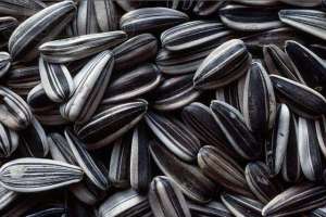 ����� ���������: ��������� �������, ������������ ���������, ��������� ������������, ����������, ���