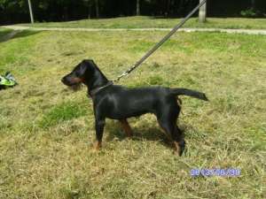 ����� ��������� ����������